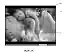 Fig. 20 - Method and Apparatus for Sequentially Displaying a Plurality of Images Including Selective Asynchronous Matching of a Subset of the Images
