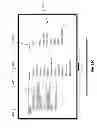 Fig. 44 - Systems and methods for providing user interfaces in an intelligent television