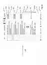 Fig. 41 - Live television application setup behavior