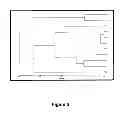Fig. 06 - Pongamia Genetic Markers and Method of Use