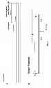 Fig. 07 - Highly Active Soybean Promoters and Uses Thereof