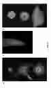 Fig. 19 - Highly Active Soybean Promoters and Uses Thereof