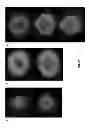 Fig. 20 - Highly Active Soybean Promoters and Uses Thereof