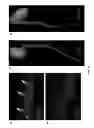 Fig. 25 - Highly Active Soybean Promoters and Uses Thereof