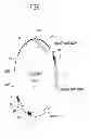 Fig. 07 - PUFA Polyketide Synthase Systems and Uses Thereof