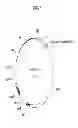 Fig. 09 - PUFA Polyketide Synthase Systems and Uses Thereof