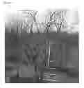 Fig. 02 - Apple tree named MAIA1