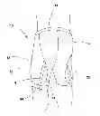 Fig. 01 - Garment with adjustable lacing arrangement