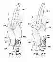 Fig. 33 - Garment with adjustable lacing arrangement