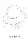 Fig. 04 - SUN HAT