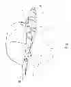 Fig. 08 - SUN HAT