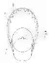 Fig. 09 - SUN HAT