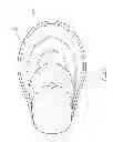Fig. 10 - SUN HAT