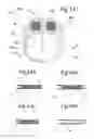 Fig. 08 - POWER HEADGEAR