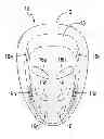 Fig. 01 - Athletic protection device