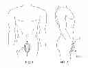 Fig. 02 - Athletic protection device