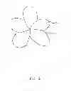 Fig. 03 - BATHTUB FLOATING THERMAL INSULATORS