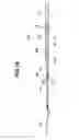 Fig. 11 - Cleaning tool and stick-like tool