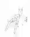 Fig. 07 - GARDEN SHEARS
