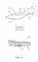 Fig. 02 - METHOD AND ARTICLES FOR ADORNMENT OF FOOTWEAR