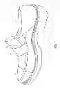 Fig. 07 - Convertible shoe