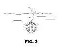 Fig. 03 - Fish-Ball Fish Attractor