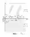 Fig. 02 - Floor mat system and divider for use therewith