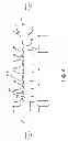 Fig. 03 - Reductant injection and mixing system