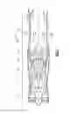 Fig. 02 - Liner bracket for gas turbine engine