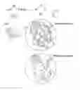 Fig. 01 - Salt coated with nanoparticles