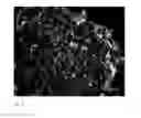 Fig. 04 - Salt coated with nanoparticles