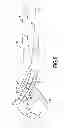 Fig. 06 - RIB JOINT PLIERS