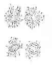Fig. 14 - Variable gear ratio ratchet