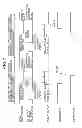 Fig. 09 - Sheet post-processing apparatus with function of punching sheet