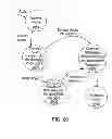 Fig. 22 - System and method for conforming an audio input to a musical key