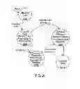 Fig. 22 - System and method creating harmonizing tracks for an audio input