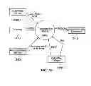 Fig. 25 - System and method creating harmonizing tracks for an audio input