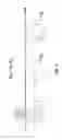 Fig. 04 - STRAIN CONTROLLED INFEED