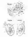 Fig. 07 - Row treating unit for agriculture implement