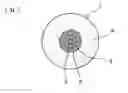Fig. 01 - HEATER AND GLOW PLUG PROVIDED WITH SAME