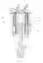 Fig. 05 - Full expansion internal combustion engine with co-annular pistons
