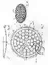 Fig. 03 - Lid for a cooking vessel