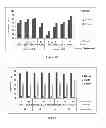 Fig. 15 - Method for processing vegetable biomass