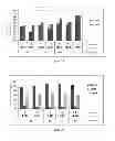Fig. 16 - Method for processing vegetable biomass