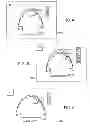 Fig. 04 - METHOD AND SYSTEM FOR SIZING AN ORAL DEVICE