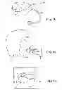 Fig. 06 - METHOD AND SYSTEM FOR SIZING AN ORAL DEVICE