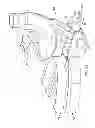 Fig. 12 - Apparatus for improved breathing