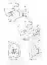 Fig. 23 - Apparatus for improved breathing