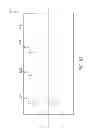 Fig. 09 - WAREWASH MACHINE WITH DESCALING/DELIMING SYSTEM AND METHOD