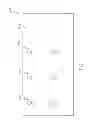 Fig. 08 - Warewash machine chemical sensor and related system and method